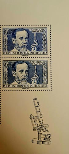 France stamps paire 5599 - stamps,