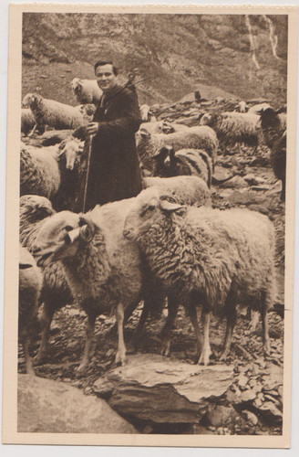 Pasteur prêtre berger - pasteur,