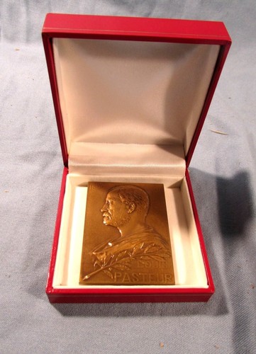 Médaille plaquette l - plaquette,