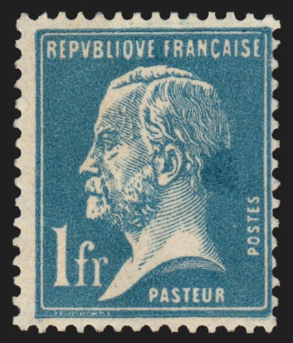 177 variété tache bleue - variété,