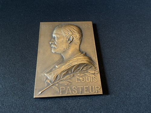 Plaque louis pasteur 1822 - pasteur,