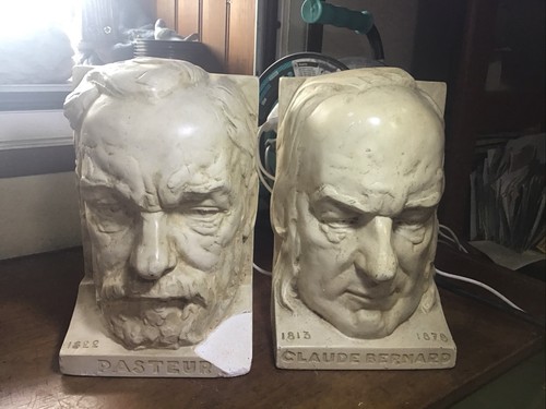 Paire serres livres - serres, plâtre