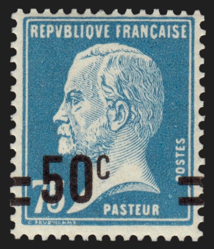 219 variété surcharge - variété, "surcharge
