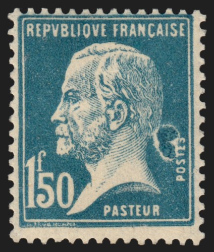 181 variété - n°181,,