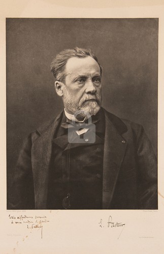 Louis pasteur foto rppc - louis,
