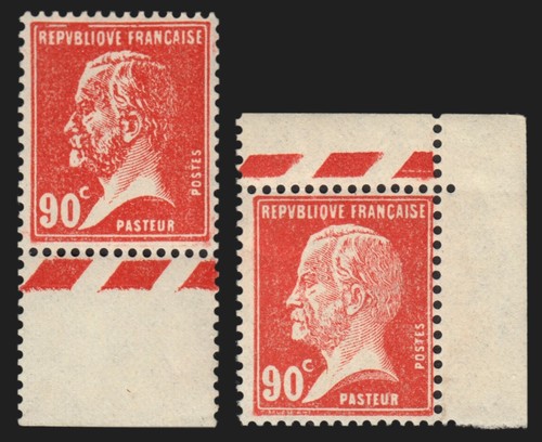 178 variété tête de - n°178,,