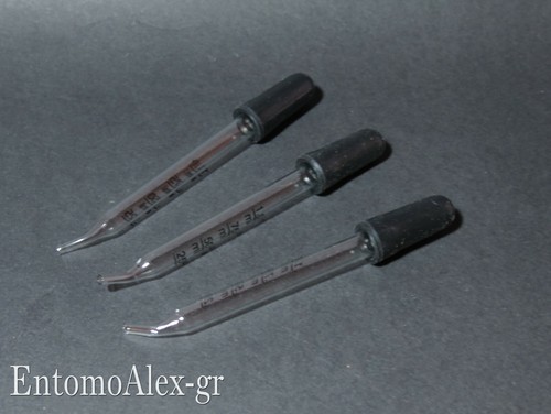 Pipette pasteur pz - pasteur, 3