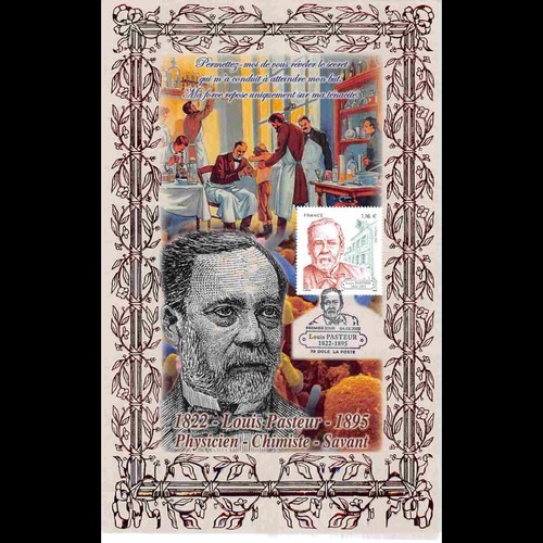 Cartollo illustrato 538 - cartollo,