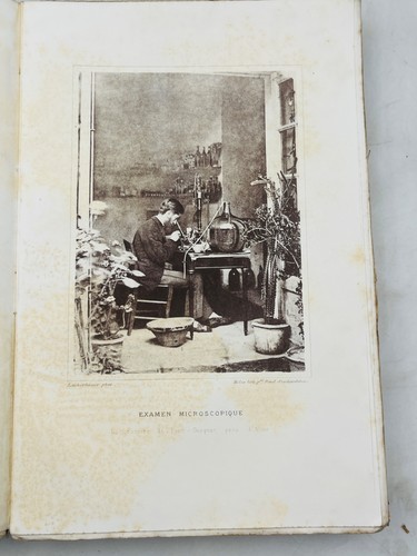 Louis pasteur maladie des - pasteur,