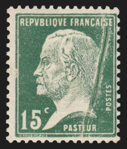 171 variété pli - n°171,, "pli